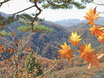 恒大集團(tuán)最新工資標(biāo)準(zhǔn)深度剖析