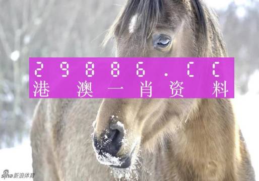 澳門(mén)一肖一碼100準(zhǔn)確最準(zhǔn)一,預(yù)測(cè)分析解釋定義_定制版51.579