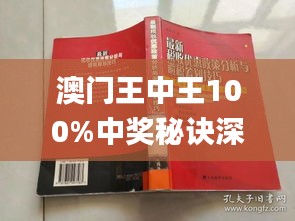 新澳門王中王100%期期中,權(quán)威研究解釋定義_理財(cái)版67.109