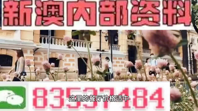 新澳門(mén)最精準(zhǔn)資料大全,持久性方案設(shè)計(jì)_黃金版96.238