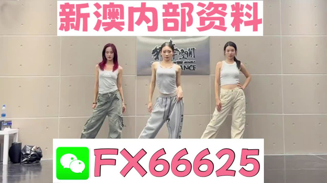 管家婆一碼中一肖2024,精細(xì)方案實(shí)施_特供版91.256