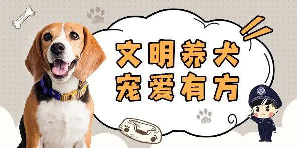 澳門四不像正版四不像網(wǎng),未來解答解釋定義_T30.345