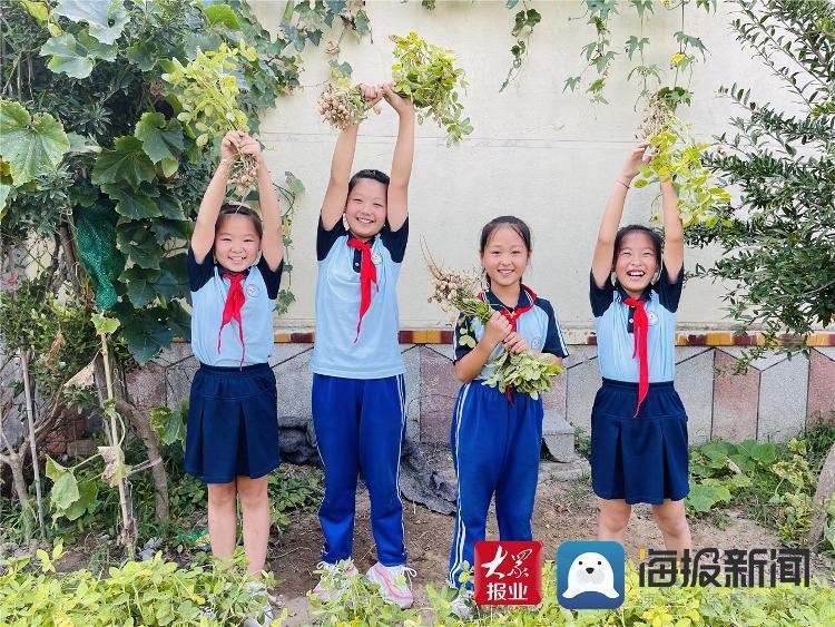 香港大眾網(wǎng)免費資料,實踐分析解析說明_模擬版22.18