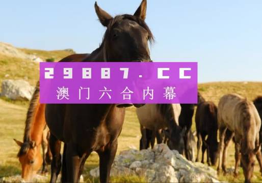 澳門管家婆一肖一碼一中一開,權(quán)威推進方法_尊貴版42.602