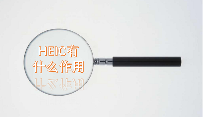 2024澳門免費(fèi)最精準(zhǔn)龍門,功能性操作方案制定_工具版6.632